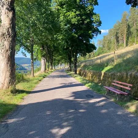 2 Pers I Und Ruhe I Buga Nationalpark * Baiersbronn