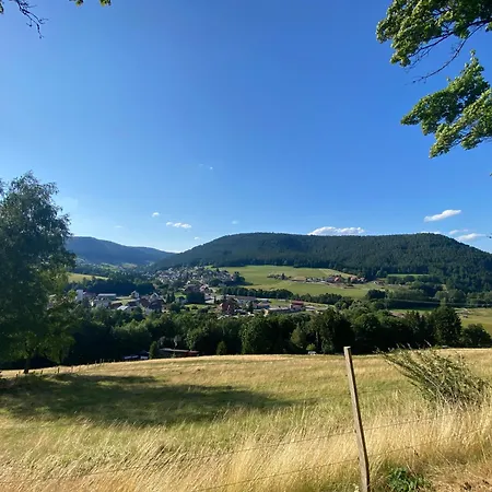 2 Pers I Und Ruhe I Buga Nationalpark Appartamento Baiersbronn